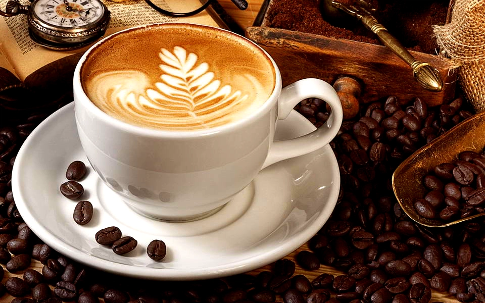 International Coffee Summit 2026